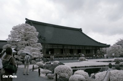 DSC_3247.jpg
