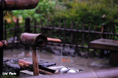 DSC_9344.jpg