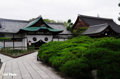 DSC_9679.jpg