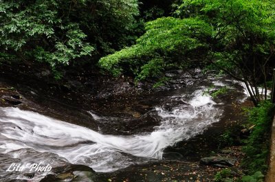 DSC_6926.jpg