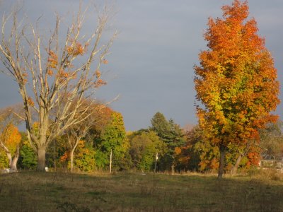 IMG_0434.jpg