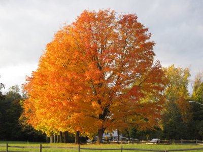 IMG_0444.jpg