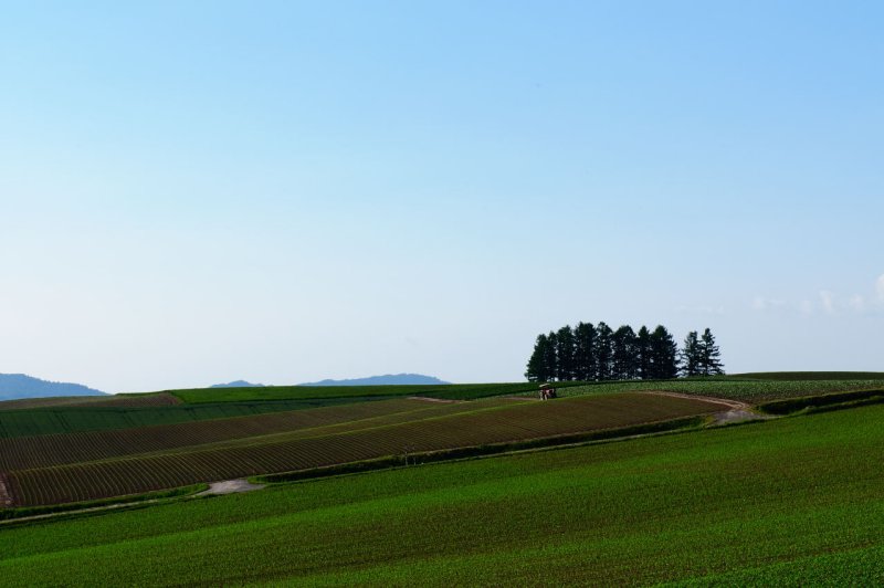 SKY_3989.JPG