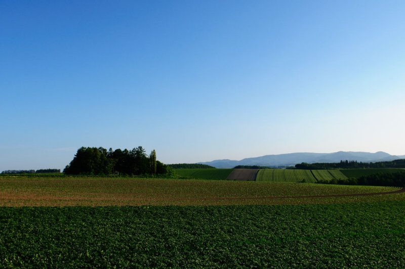 SKY_4030.JPG