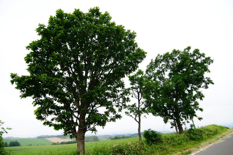 SKY_4080.JPG