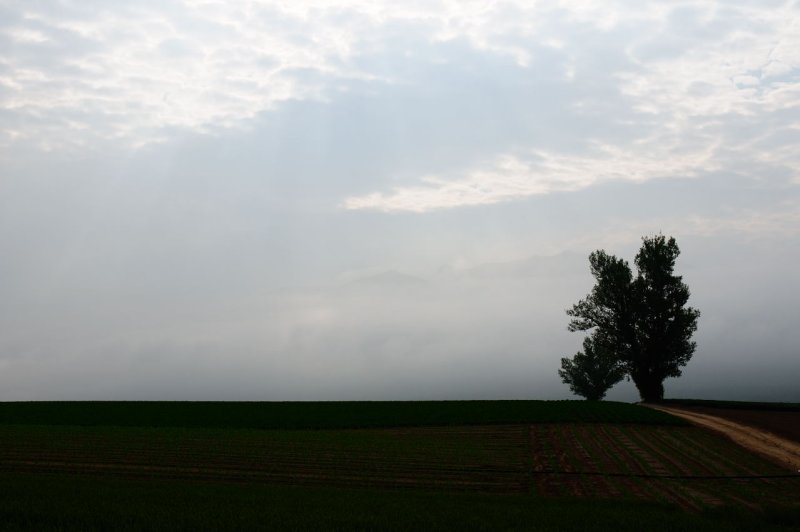 SKY_4356.JPG