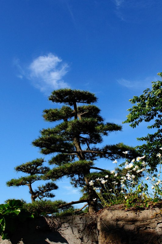 SKY_3490.JPG