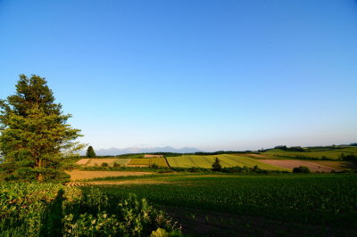 SKY_4065.JPG