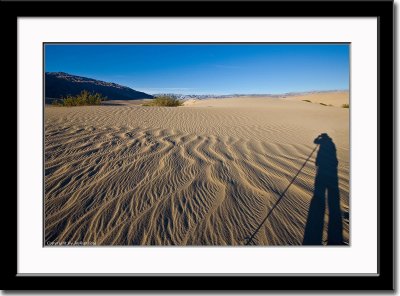 Self-Portrait on Dunes