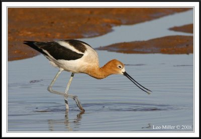 PC-_J3W7955cc framed.jpg