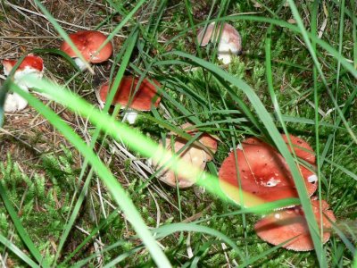 Look what we found