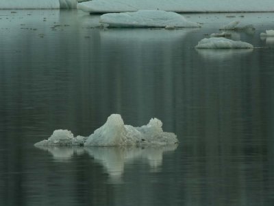 Iceberg on the Mendenhall Lake