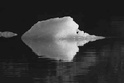 Iceberg - Black and White