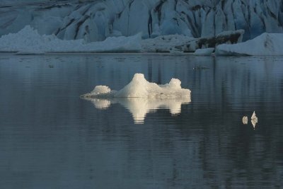 Icebergs of Mendenhall Glacier