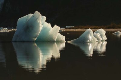 Iceberg Reflection