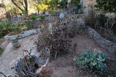 Gardens of the Church of the Visitation