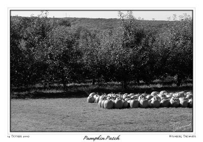 14Oct06 Pumpkin Patch - 14020