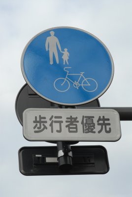 blueCYCLE2.JPG