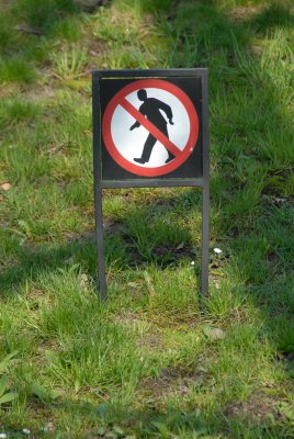 DSC_0007.JPG
