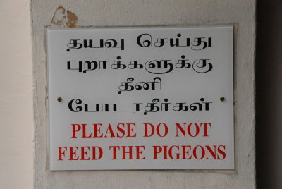 doNOTpigeons.JPG