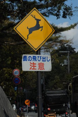yellowDEER.JPG