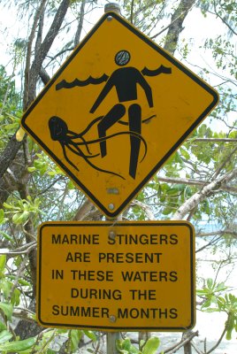 yellowSTINGERS.JPG