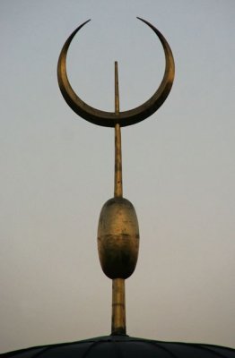 IMG_5015_DXO.jpg