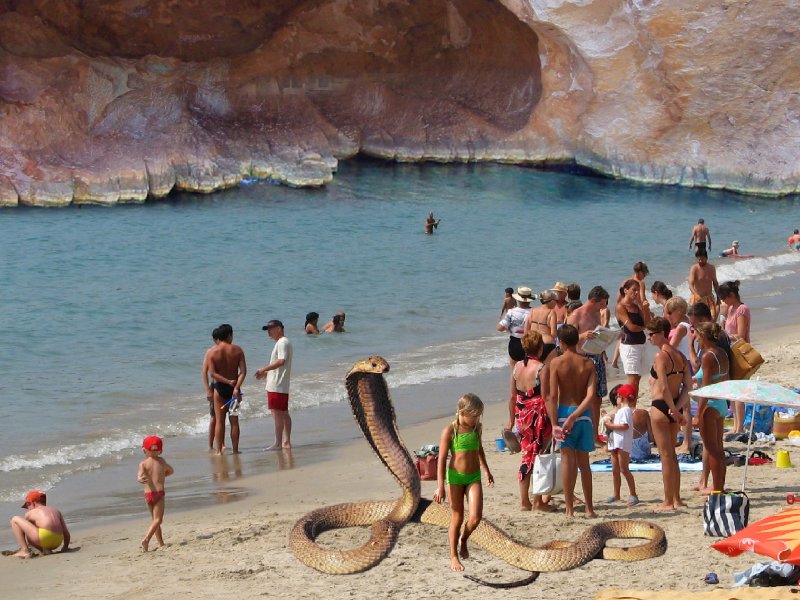 plage 24e.JPG