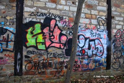 Graffiti House Back Wall.jpg