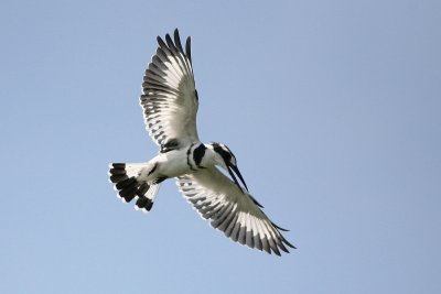 IMG_8742e_1.jpg
