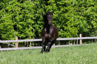 George shows he can run too