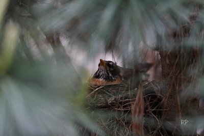 Day 3 - Proud Parent