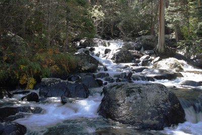 Mountain Stream - take 2