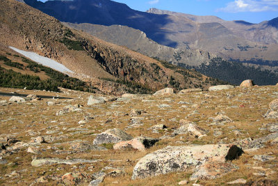 Alpine Zone