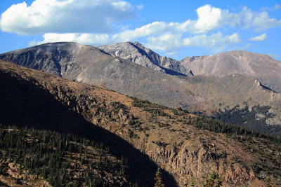 Alpine Zone Panorama