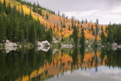 Aspens at Bear Lake