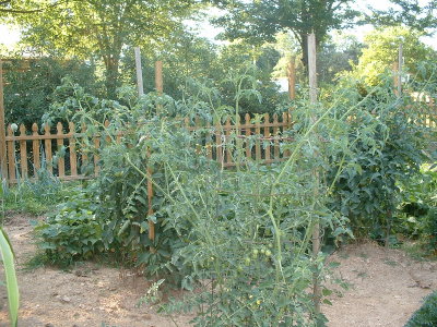 DSCF0036.JPG