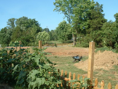 DSCF0037.JPG