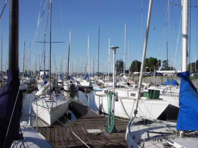 Stockton Sailing Club harbor, 07:49 (155)
