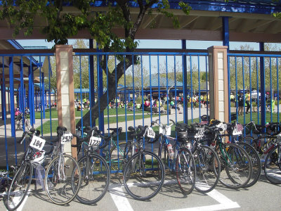 Bikes looking for lunch