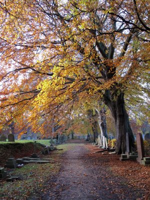 Autumn Scene.jpg