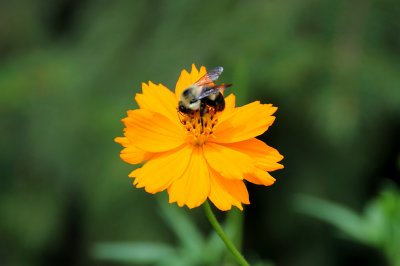 20080715_165630 DSC_0047.jpg