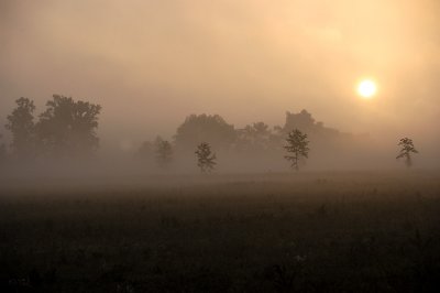 g5/88/350788/3/99034960.SJWY7L2Y.jpg