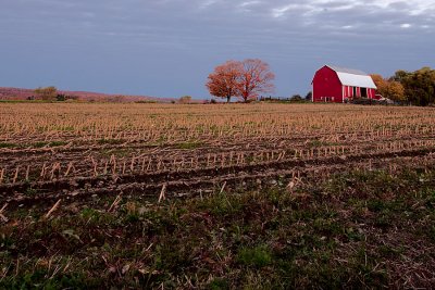 Barn.jpg