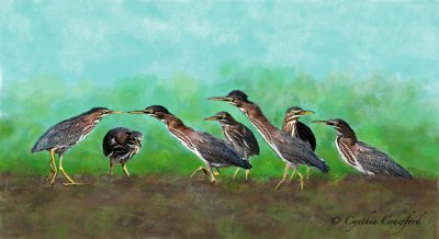 Heron Games- a composite photo-painting