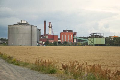 BF5T3676.jpg
