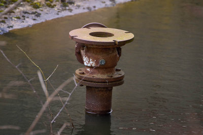 LC4S7349.jpg