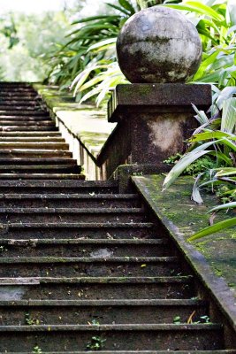 Brief Gardens