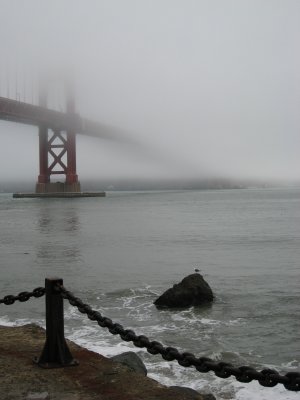 of fog and bridges