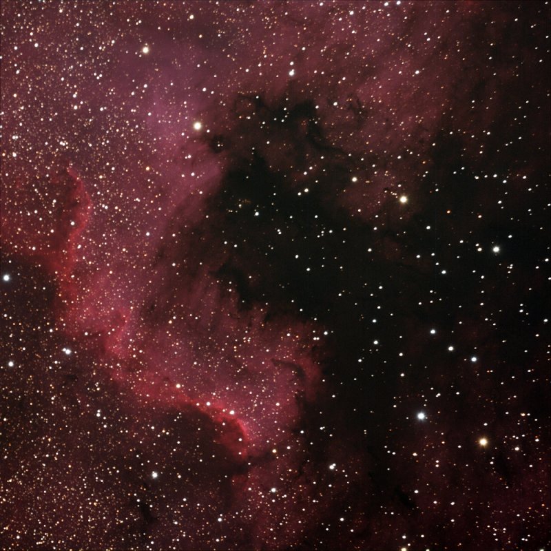 NGC7000 North American Nebula